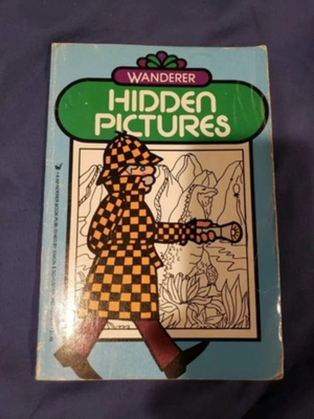 HIDDEN PICTURES n/a paperback Not Used, Acceptable Condition 1987 1st Edition.